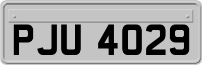PJU4029