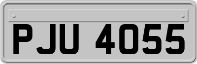 PJU4055