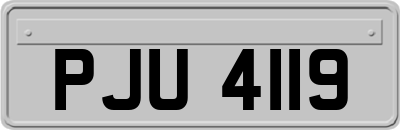 PJU4119