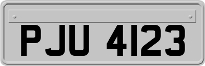 PJU4123