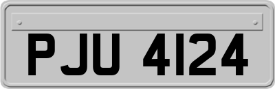 PJU4124