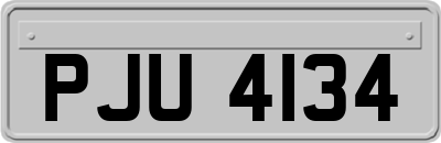 PJU4134