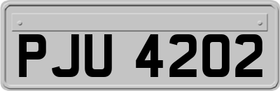 PJU4202