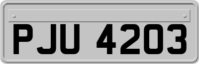 PJU4203