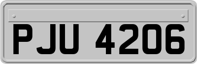 PJU4206