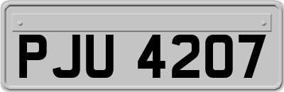 PJU4207