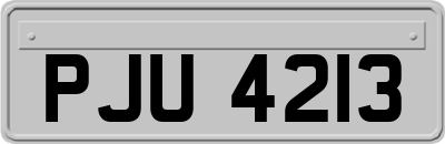 PJU4213
