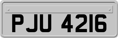 PJU4216