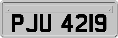 PJU4219