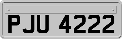 PJU4222
