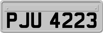 PJU4223