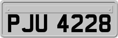 PJU4228