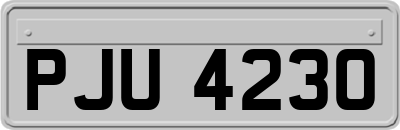 PJU4230