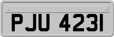 PJU4231