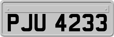 PJU4233