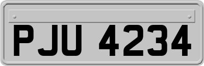 PJU4234