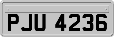 PJU4236