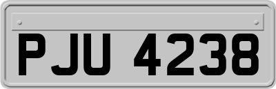 PJU4238