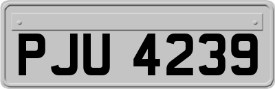 PJU4239