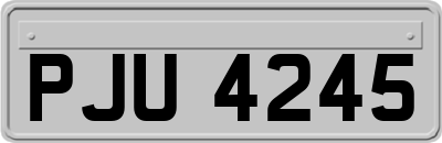 PJU4245
