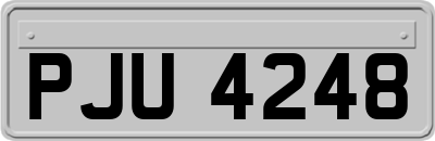 PJU4248