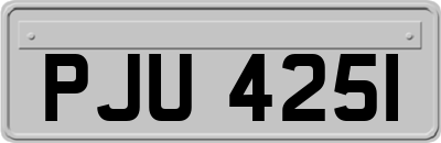 PJU4251