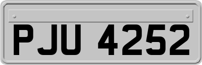 PJU4252