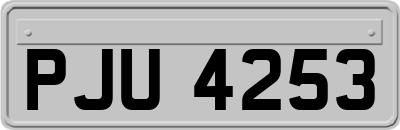 PJU4253