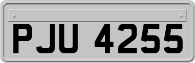 PJU4255