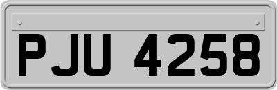 PJU4258