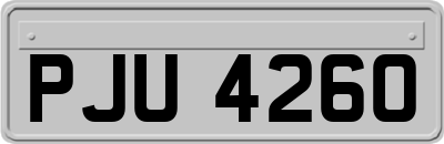 PJU4260