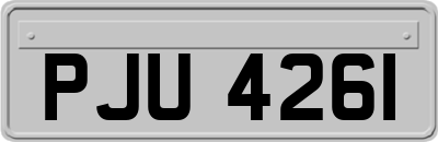 PJU4261