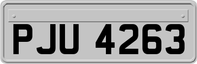 PJU4263