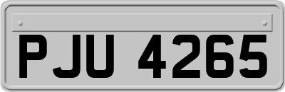 PJU4265