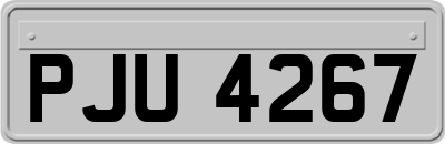 PJU4267