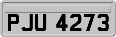 PJU4273