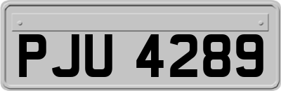 PJU4289