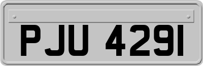 PJU4291