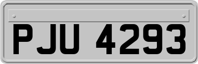 PJU4293