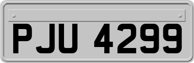 PJU4299