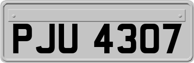 PJU4307