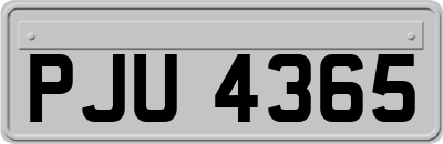 PJU4365