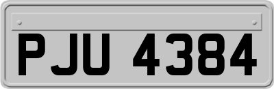 PJU4384