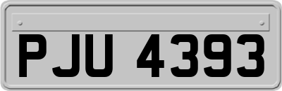 PJU4393