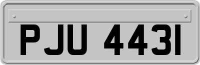 PJU4431