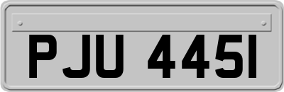 PJU4451