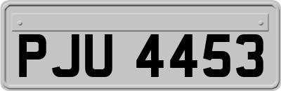 PJU4453