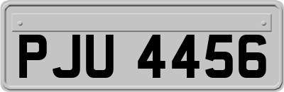 PJU4456