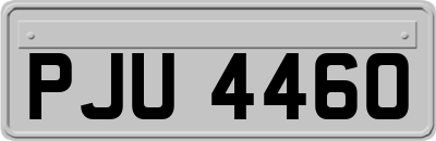 PJU4460
