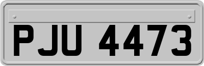 PJU4473